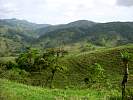 Costa RicaII..JPG